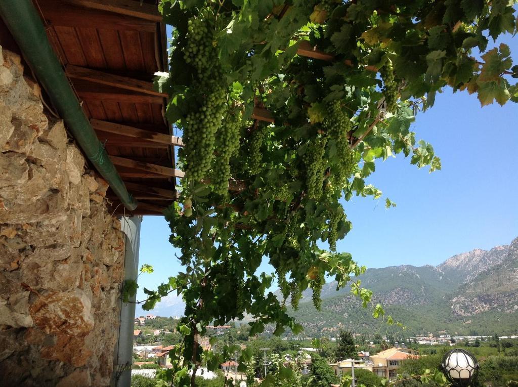 Adrasan Kybele Hotel Exterior photo